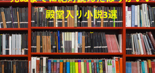 夏へのトンネル さよならの出口 読後の感想 サンチェスブログ 略してチェスブロ